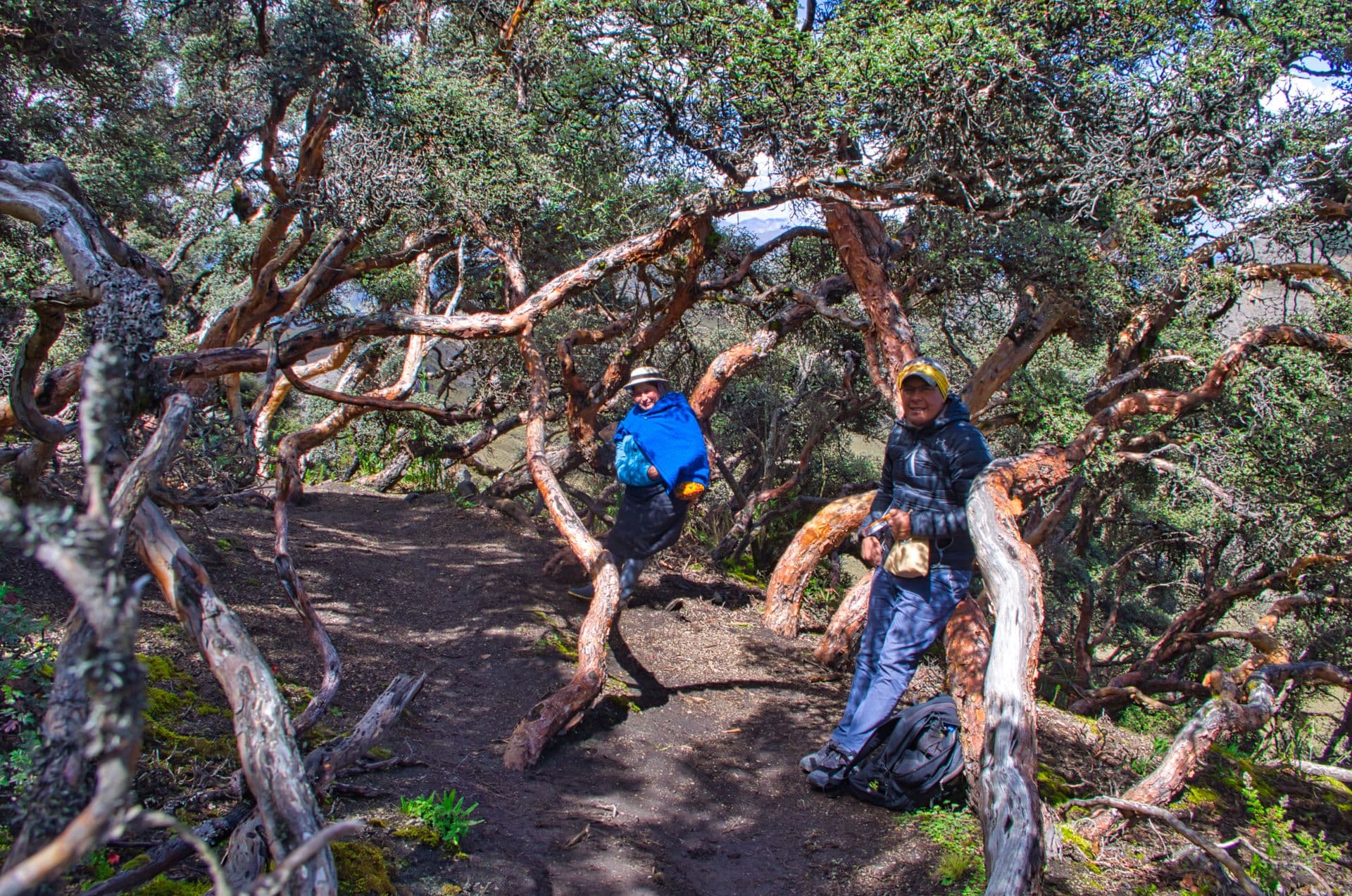 Puruha Razurku community-based tour operator Chimborazo