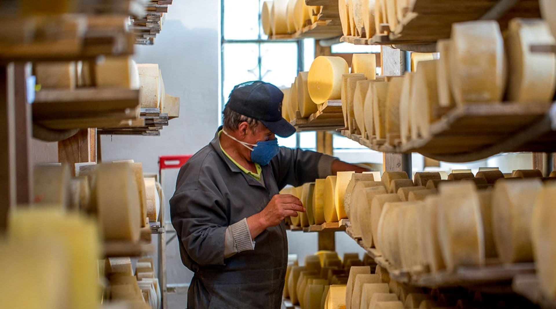 Dive into the history of Ecuadorian cheese