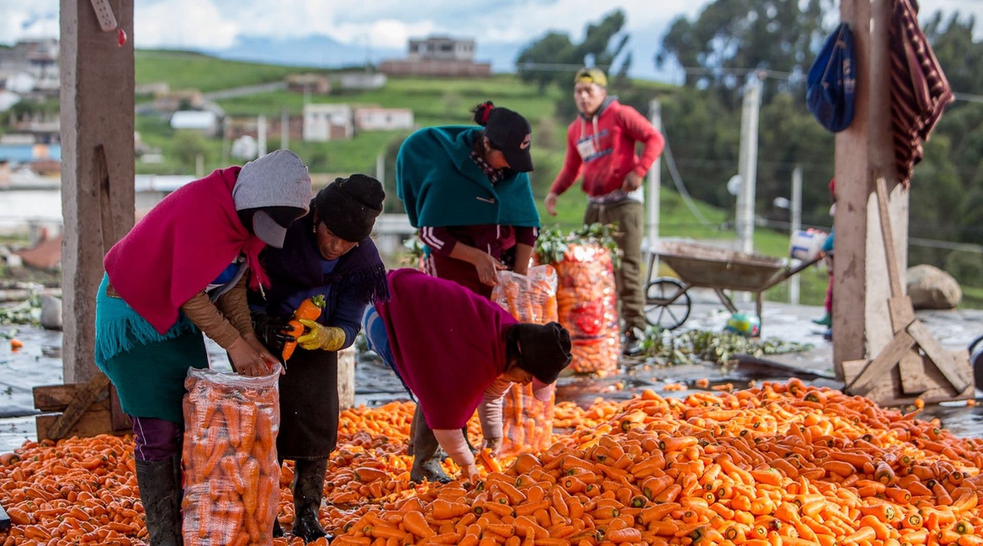 Get to know the Calshi community