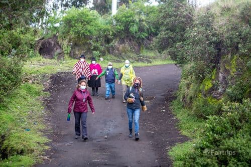 Image without description