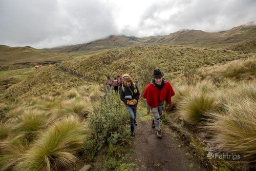 Image without description